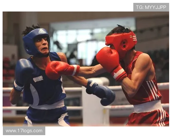 综合格斗竞技魅力与技术演进及未来发展趋势深度剖析全球格局变化 - 副本 - 副本 - 副本 - 副本 - 副本