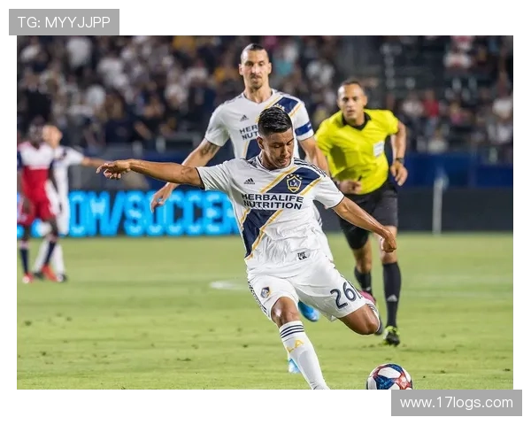 聚焦体育新站世界杯专题精彩赛事全景解析与热点前瞻深度报道指南 - 副本 (3)